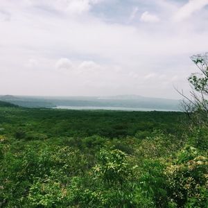 Meet your Posher, Chloe